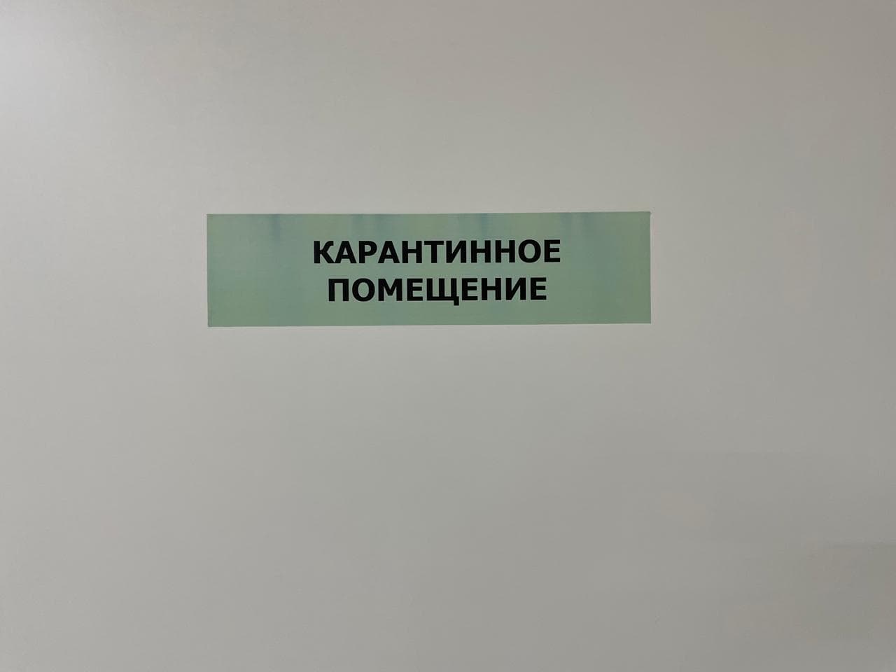 Готовая компания №4 — история и подтверждённые обороты — фото 4